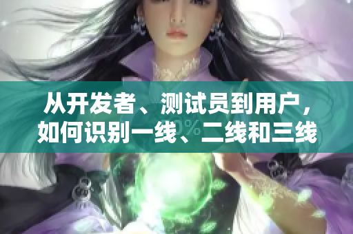 从开发者、测试员到用户，如何识别一线、二线和三线软件品牌？