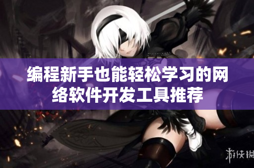 编程新手也能轻松学习的网络软件开发工具推荐