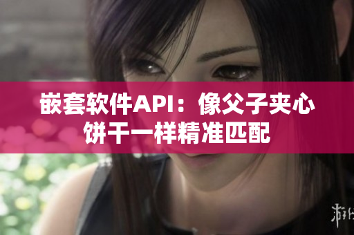 嵌套软件API：像父子夹心饼干一样精准匹配