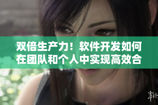 双倍生产力！软件开发如何在团队和个人中实现高效合作