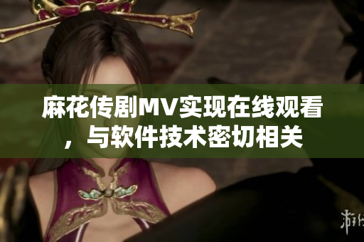 麻花传剧MV实现在线观看，与软件技术密切相关