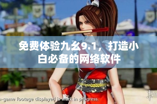 免费体验九幺9.1，打造小白必备的网络软件