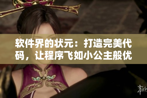 软件界的状元：打造完美代码，让程序飞如小公主般优雅