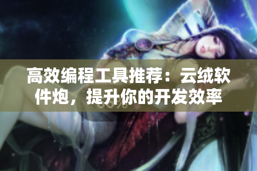 高效编程工具推荐：云绒软件炮，提升你的开发效率