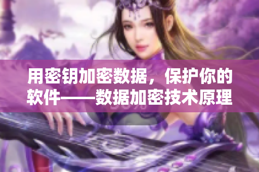 用密钥加密数据，保护你的软件——数据加密技术原理解析