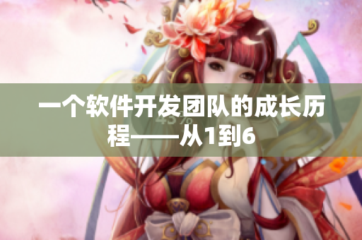 一个软件开发团队的成长历程——从1到6