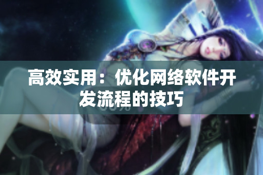高效实用：优化网络软件开发流程的技巧