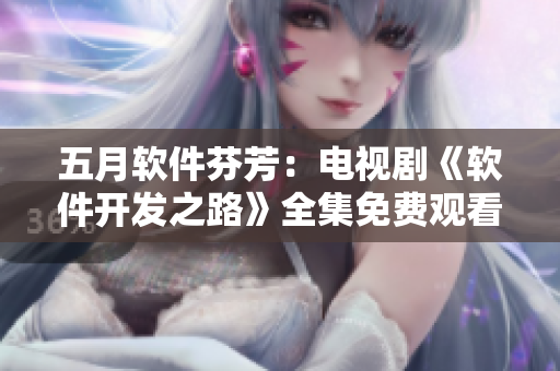 五月软件芬芳：电视剧《软件开发之路》全集免费观看