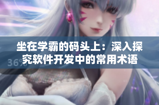 坐在学霸的码头上：深入探究软件开发中的常用术语
