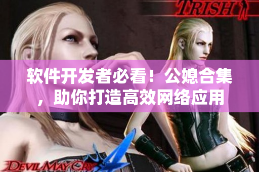 软件开发者必看！公媳合集，助你打造高效网络应用