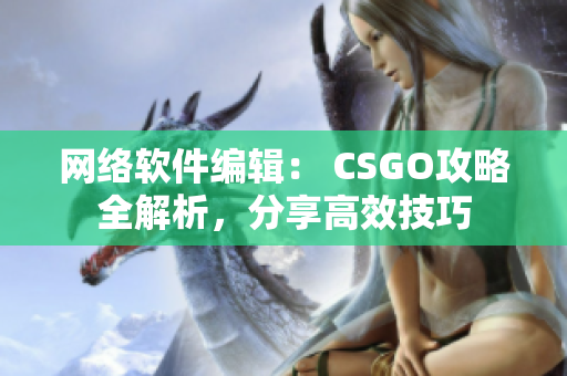 网络软件编辑： CSGO攻略全解析，分享高效技巧