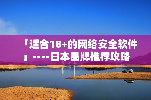 「适合18+的网络安全软件」----日本品牌推荐攻略