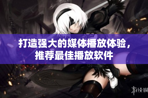 打造强大的媒体播放体验，推荐最佳播放软件