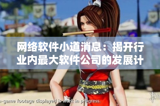 网络软件小道消息：揭开行业内最大软件公司的发展计划！