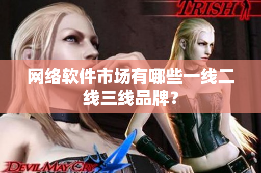 网络软件市场有哪些一线二线三线品牌？
