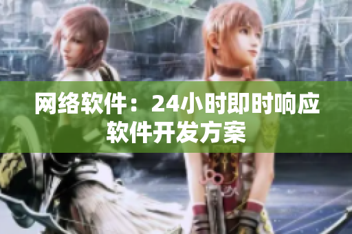 网络软件：24小时即时响应软件开发方案