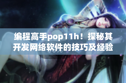 编程高手pop11h！探秘其开发网络软件的技巧及经验