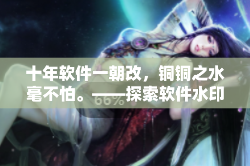 十年软件一朝改，铜铜之水毫不怕。——探索软件水印防抄袭之路