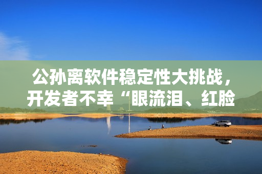 公孙离软件稳定性大挑战，开发者不幸“眼流泪、红脸、咬铁球”