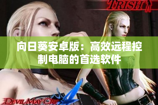 向日葵安卓版：高效远程控制电脑的首选软件