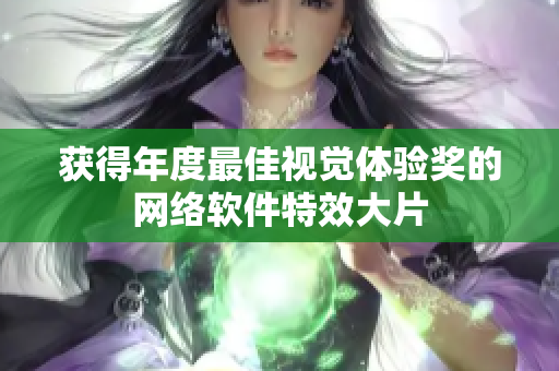 获得年度最佳视觉体验奖的网络软件特效大片