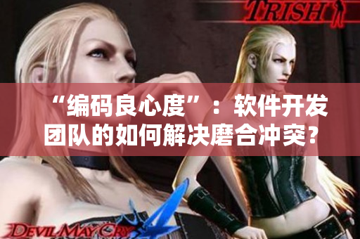 “编码良心度”：软件开发团队的如何解决磨合冲突？