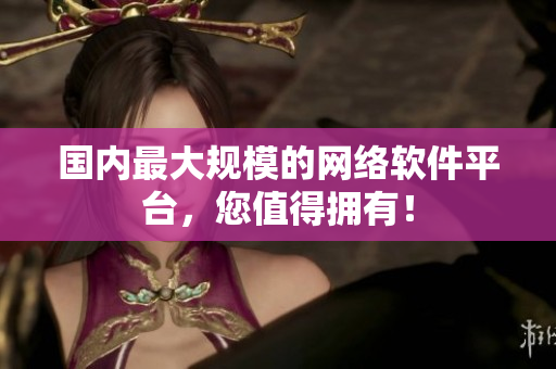 国内最大规模的网络软件平台，您值得拥有！