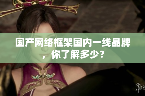 国产网络框架国内一线品牌，你了解多少？