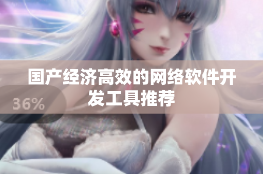 国产经济高效的网络软件开发工具推荐