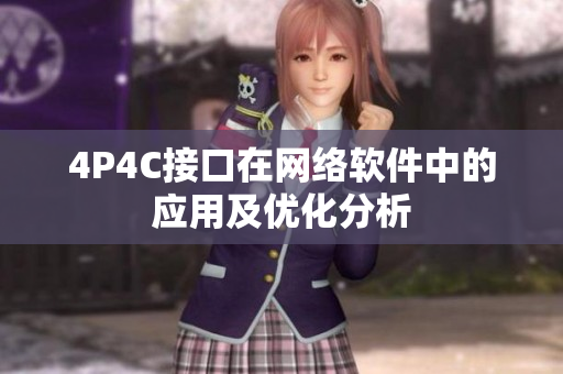 4P4C接口在网络软件中的应用及优化分析