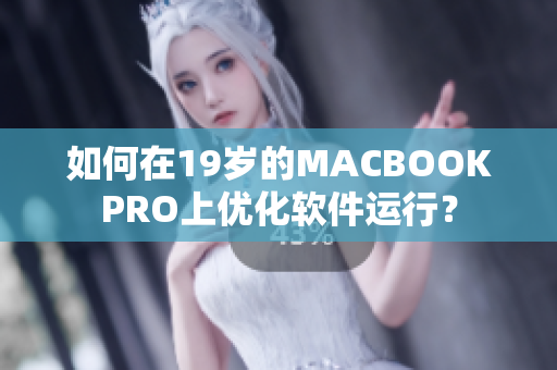 如何在19岁的MACBOOKPRO上优化软件运行？
