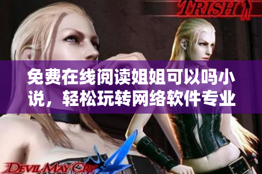 免费在线阅读姐姐可以吗小说，轻松玩转网络软件专业知识！