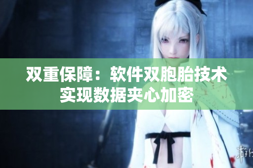 双重保障：软件双胞胎技术实现数据夹心加密