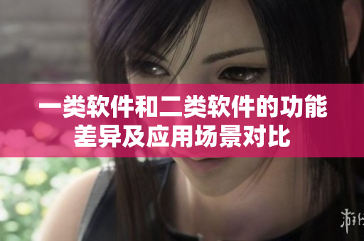 一类软件和二类软件的功能差异及应用场景对比