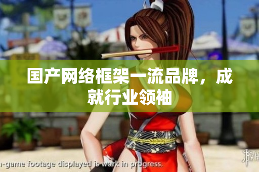 国产网络框架一流品牌，成就行业领袖
