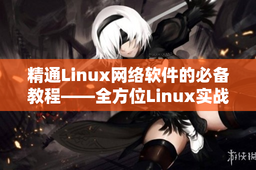 精通Linux网络软件的必备教程——全方位Linux实战技能视频教程