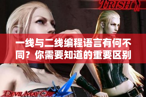 一线与二线编程语言有何不同？你需要知道的重要区别！