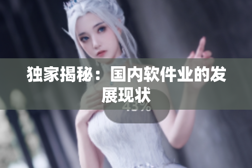 独家揭秘：国内软件业的发展现状
