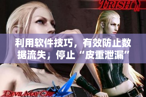 利用软件技巧，有效防止数据流失，停止“皮重泄漏”！