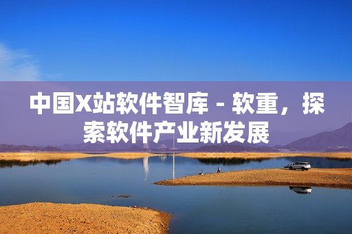 中国X站软件智库 - 软重，探索软件产业新发展