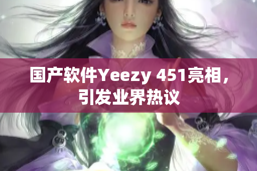 国产软件Yeezy 451亮相，引发业界热议