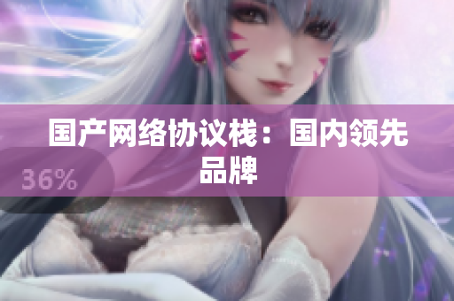 国产网络协议栈：国内领先品牌