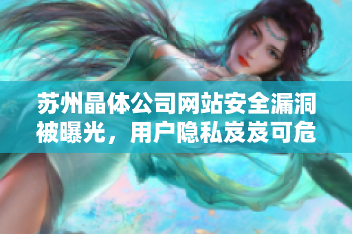 苏州晶体公司网站安全漏洞被曝光，用户隐私岌岌可危！