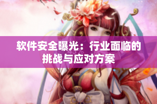 软件安全曝光：行业面临的挑战与应对方案