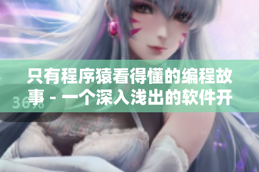 只有程序猿看得懂的编程故事 - 一个深入浅出的软件开发故事