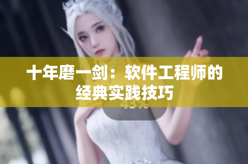 十年磨一剑：软件工程师的经典实践技巧