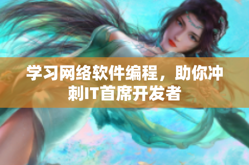 学习网络软件编程，助你冲刺IT首席开发者