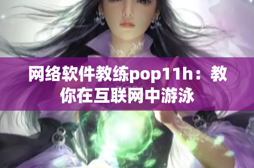网络软件教练pop11h：教你在互联网中游泳