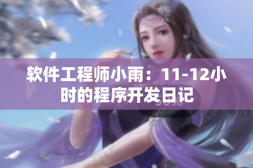 软件工程师小雨：11-12小时的程序开发日记