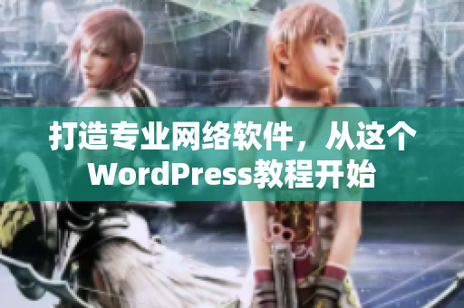 打造专业网络软件，从这个WordPress教程开始